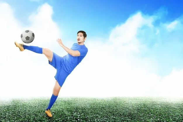 APP免费使用说明