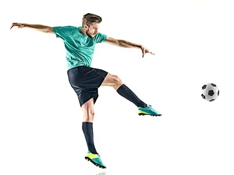 APP数据展示截图